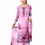Premium Champagne Beige Stone Work Salwar Kameez (Copy) (Copy) - Image 2