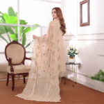Premium Champagne Beige Stone Work Salwar Kameez - Image 3
