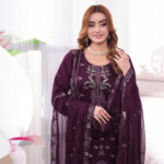 Premium Champagne Beige Stone Work Salwar Kameez (Copy) - Image 3